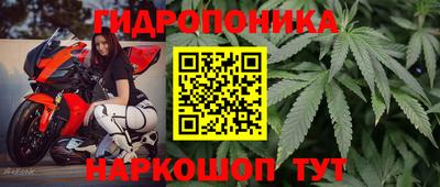 гидра Дубна
