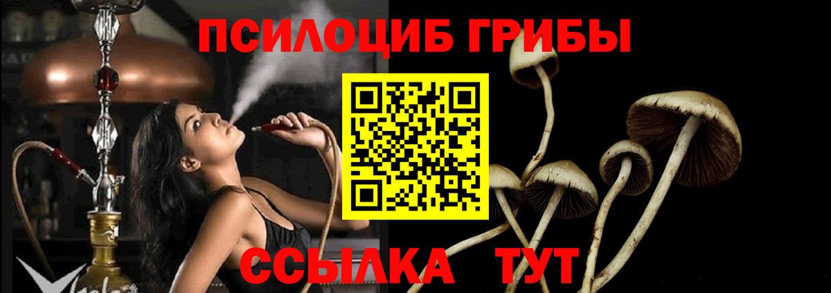 Галлюциногенные грибы Magic Shrooms Вышний Волочёк